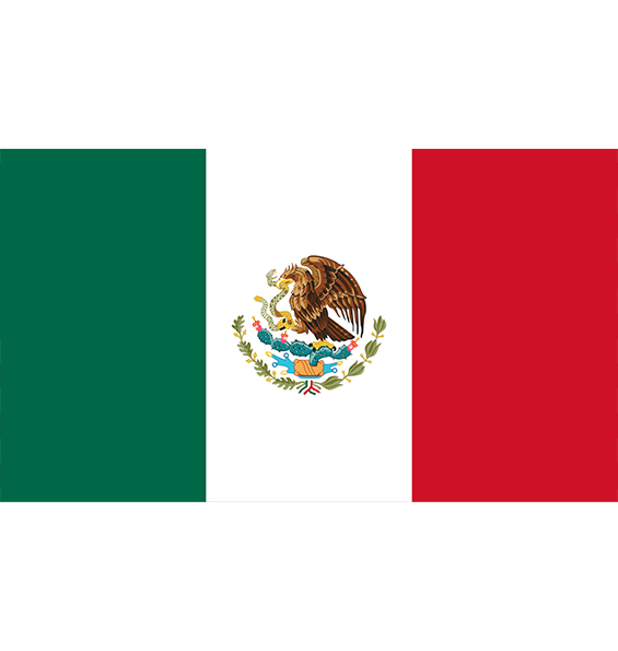 Mexico Customer
