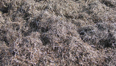 Recovered Steel Wire