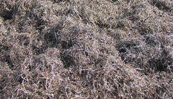 Recovered Steel Wire