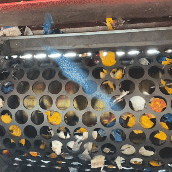 Screen Discharge