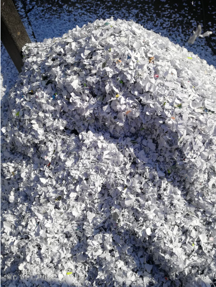 Enerpat Waste Paper Shredder-4