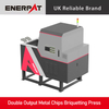 Double Output Metal Chips Briquetting Press