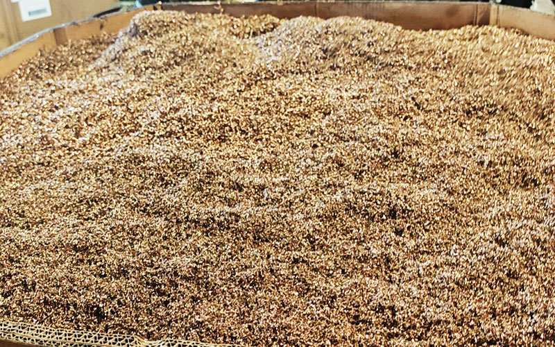 Copper Chips