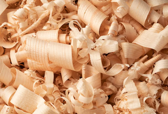 Wood Shavings