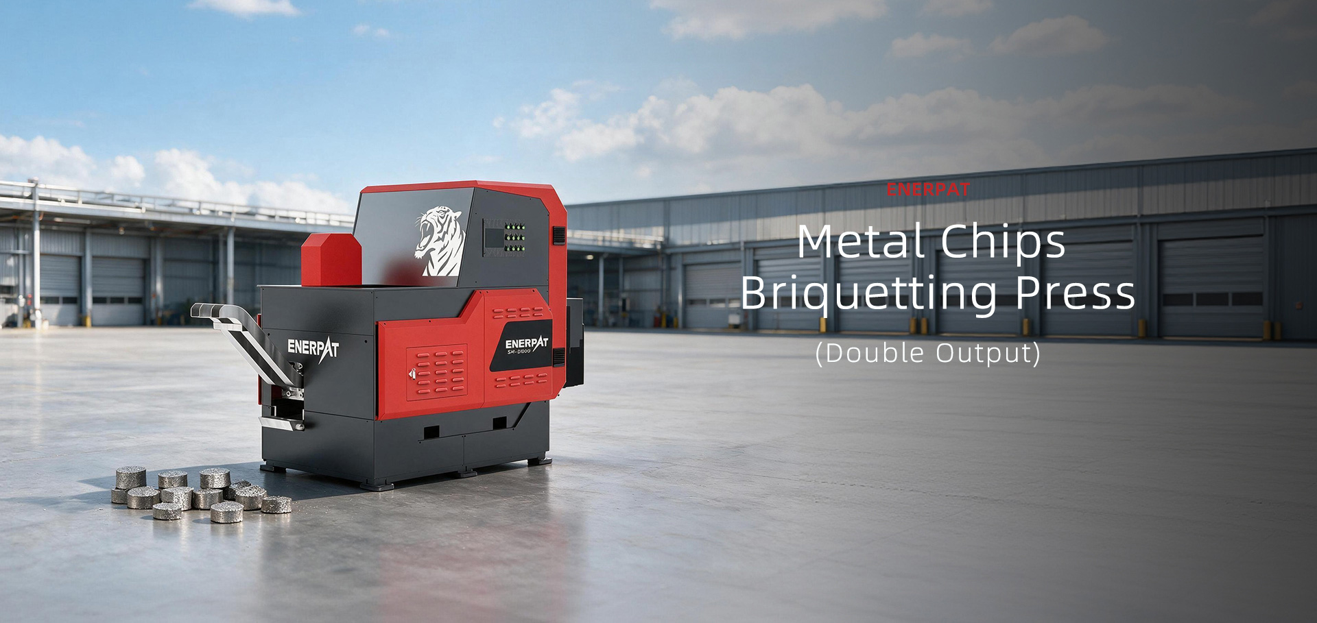 Double Output Metal Chips Briquetting Press