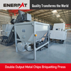 Double Output Metal Chips Briquetting Press