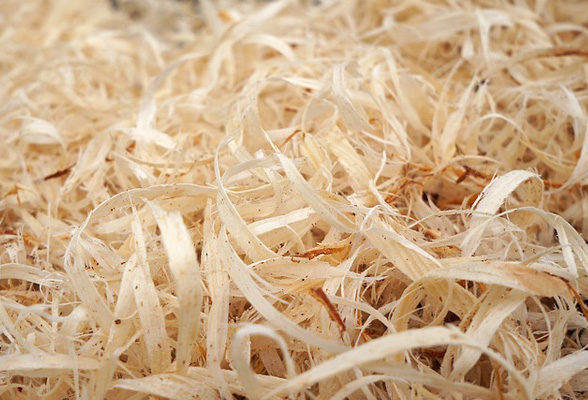 Wood Shavings