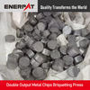 Double Output Metal Chips Briquetting Press