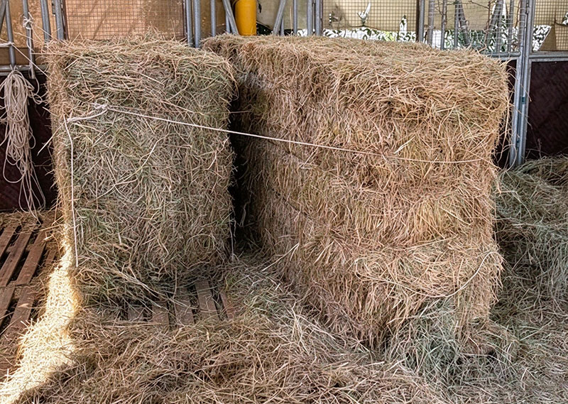 Vertical Baler for Hay
