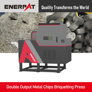 Double Output Metal Chips Briquetting Press
