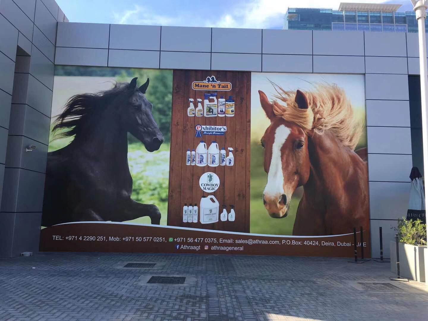 ENERPAT IN DUBAI INTERNATIONAL ARABIAN HORSE CHAMPIONSHIP (21-23 MARCH 2019)